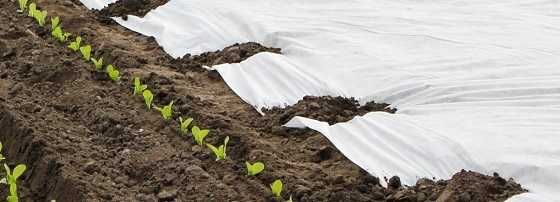 NaturSorte - Agrowłóknina biała zimowa 50g/m2 6.35m x 25mb