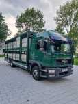 MAN TGM 15.290  Do Żywca