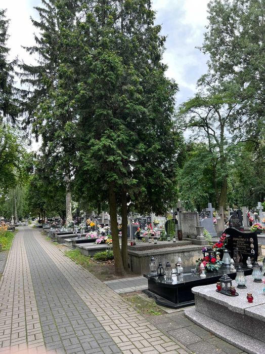 Odstąpię grobowiec w Grodzisku Mazowieckim