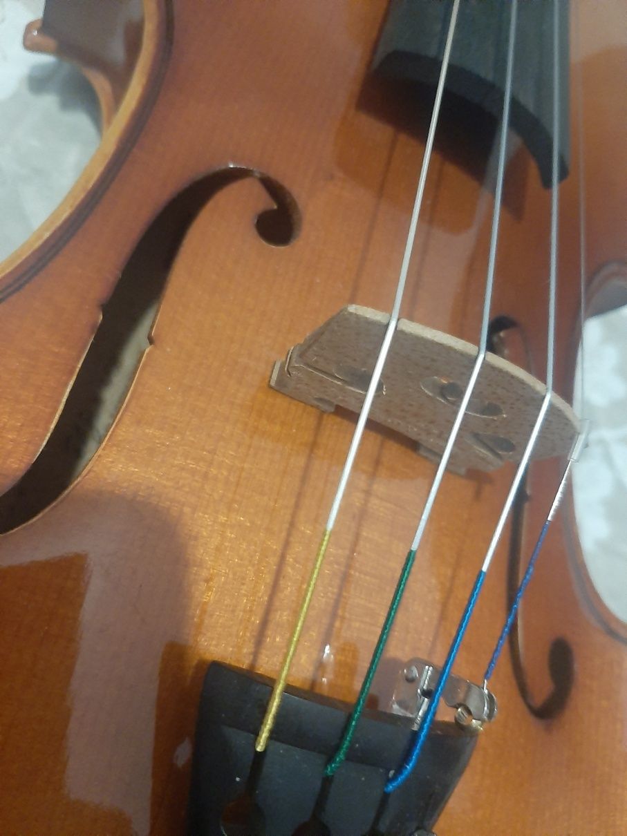 Violino alemão Paesold 802