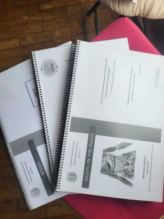 Bibliografia de Anatomia de Santa Maria + Netter Atlas de Anatomia