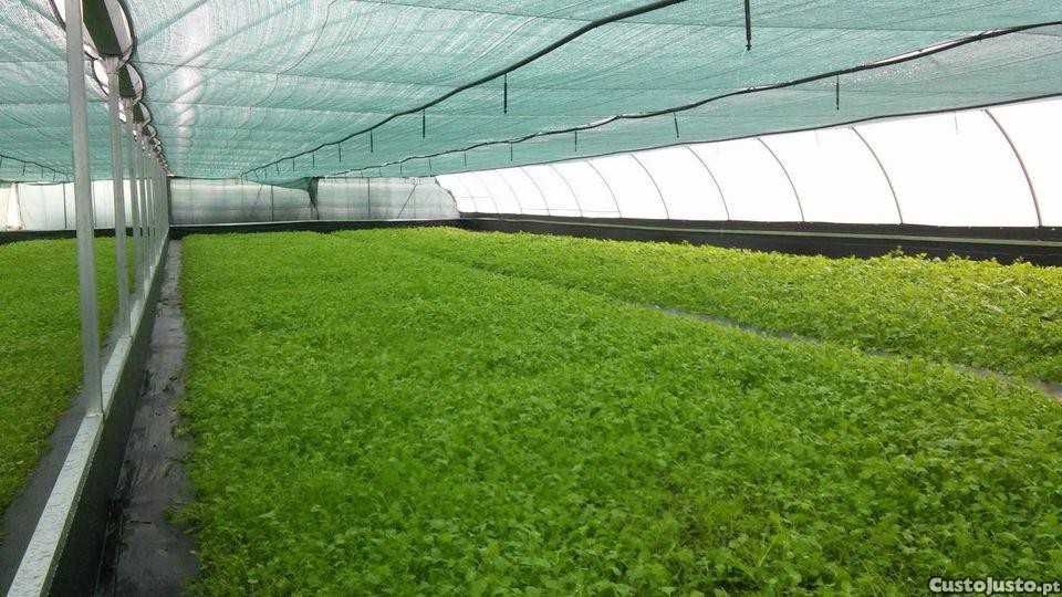 Estufas em aço galvanizado