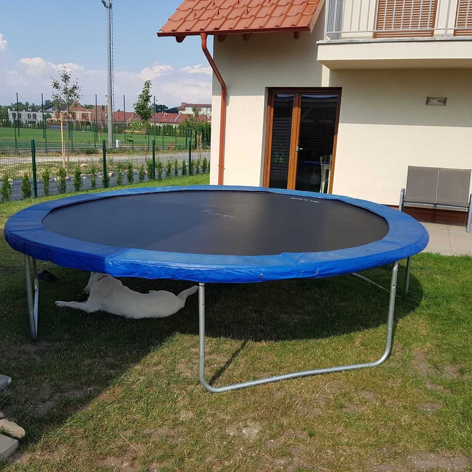 TRAMPOLINA Funfit DUŻA 374 CM z drabinką