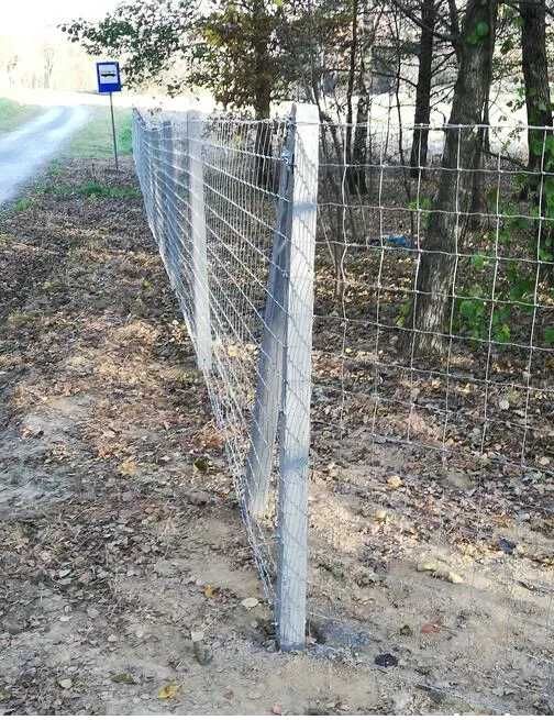 Tanie i na Lata ogrodzenie z siatki i słupka betonowego z montażem