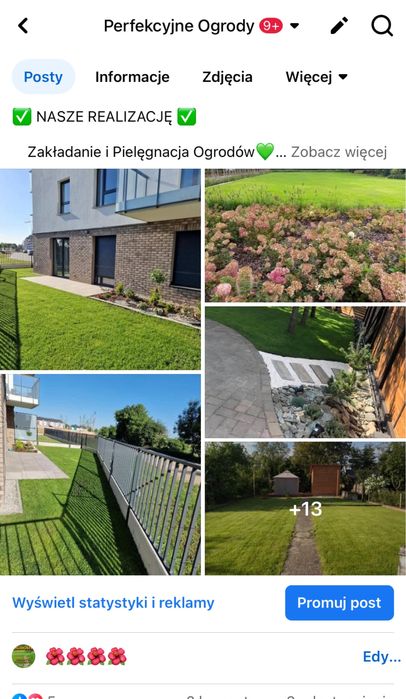 Zakładanie trawników   Usługi  Ogrodnicze Projektowanie Pielęgnacja