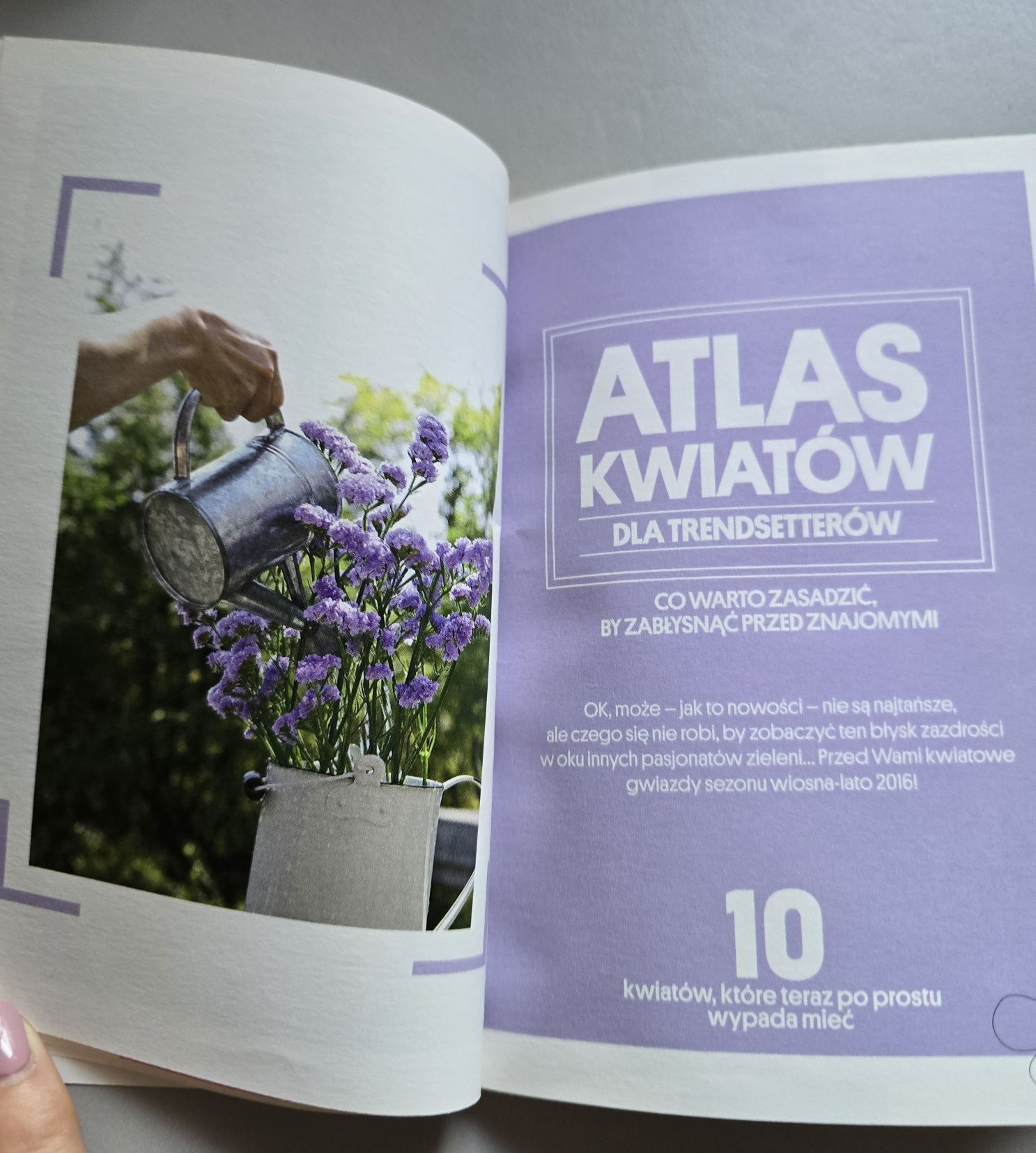 Atlas kwiatów do ogrodu i na balkon