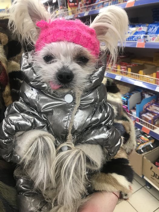 Голий кітайський пацан шукає собі невєху