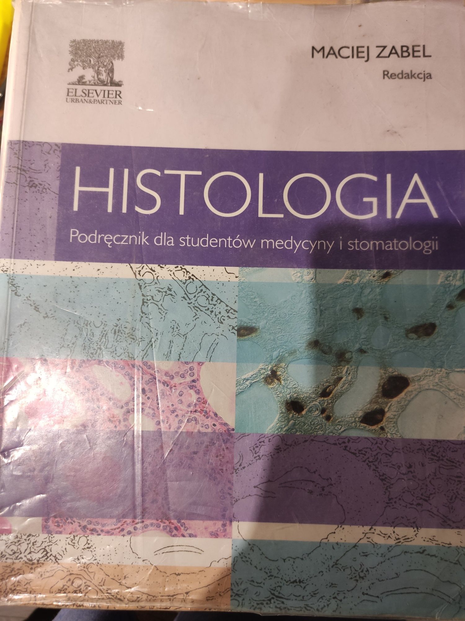 Histologia Ząbek+ zeszyt ćwiczeń gratis !!