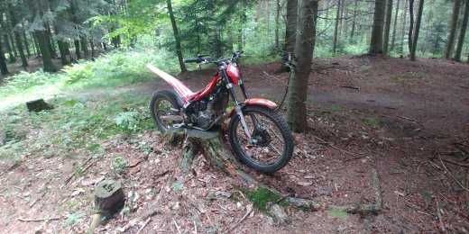 Trial Beta Evo 300 2T