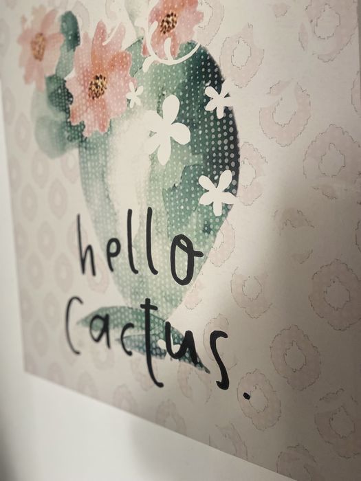 Varias molduras decoracao