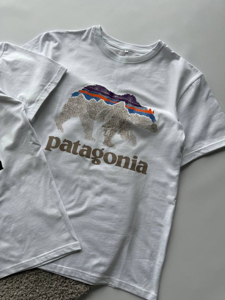 Футболка Patagonia i The north face
