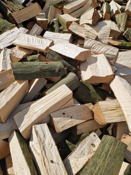 Drewno opałowe, opał, drzewo