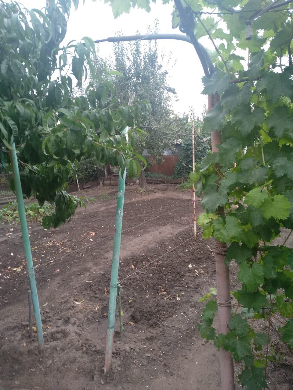 Продам дом на Запорожье Левом от хозяина