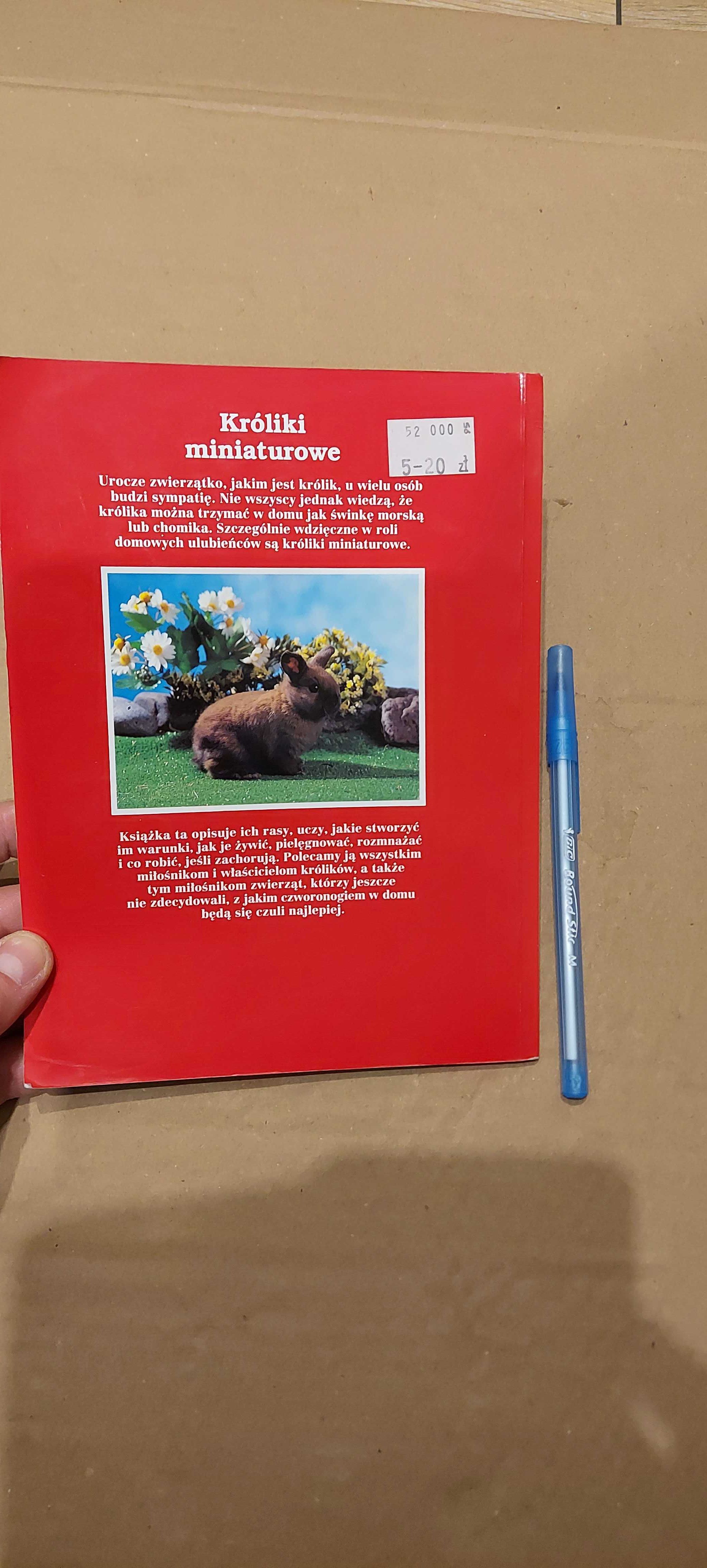 Króliki miniaturowe, Mettler
