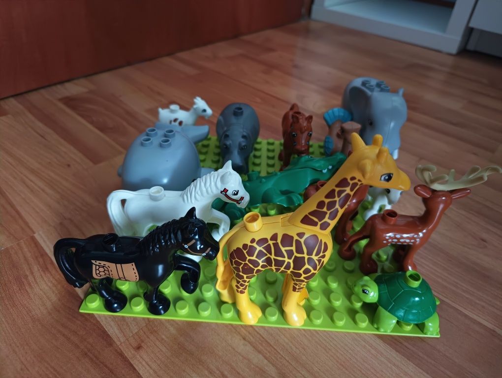 LEGO jak Duplo ogród zwierząt 16 elementów plus gratis