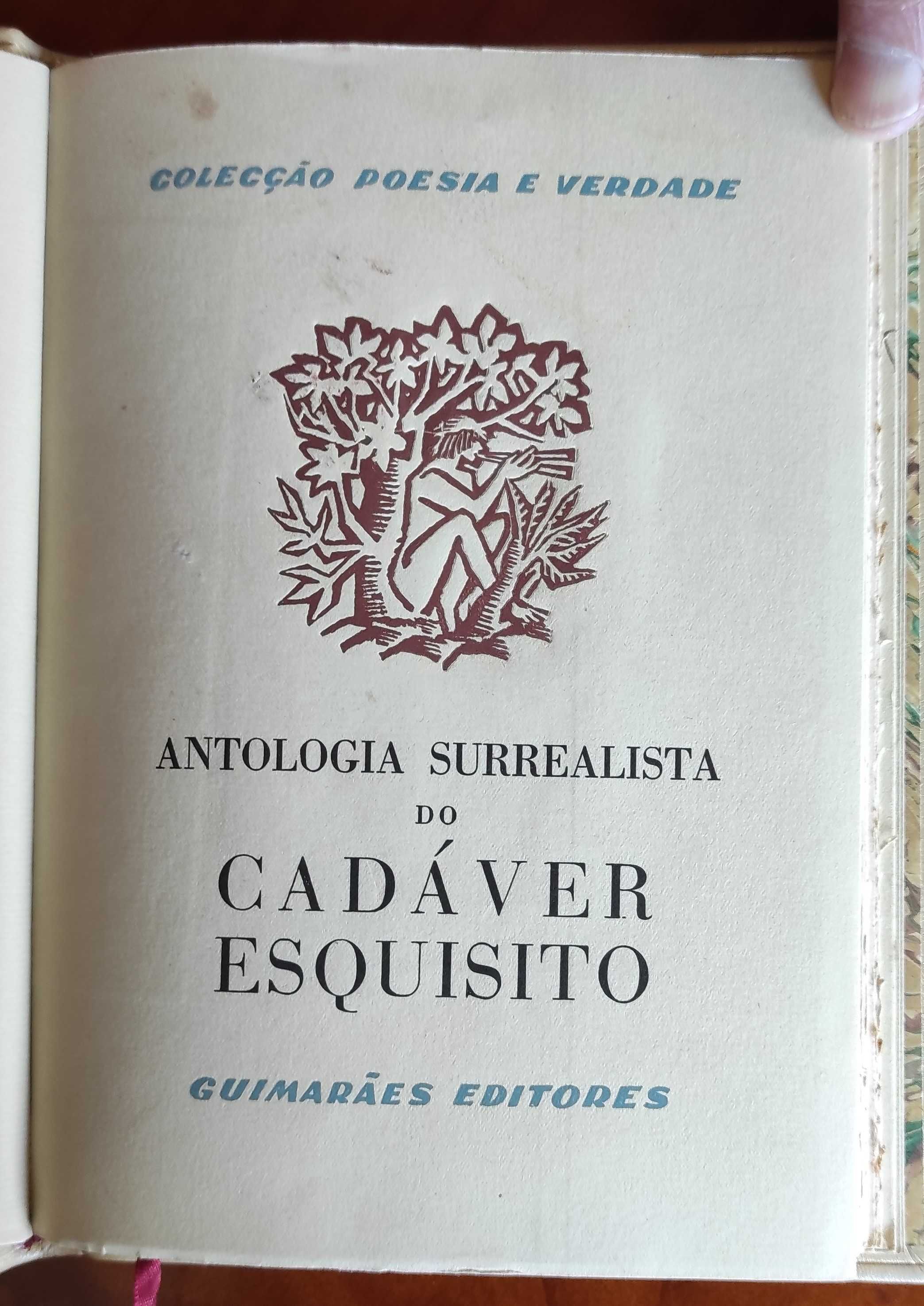 Mário Cesariny de Vasconcelos [ 3 ]