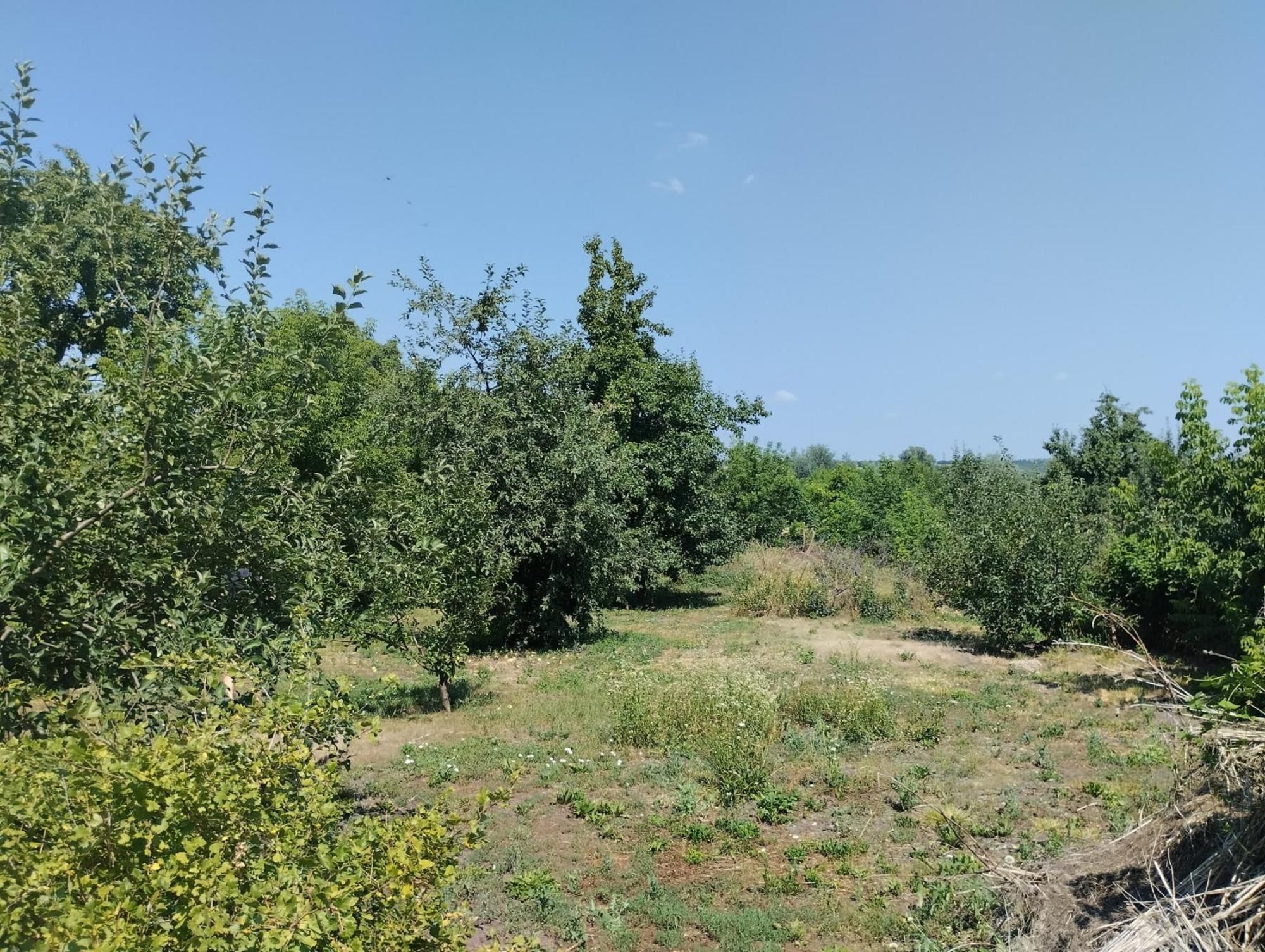 Продам будинок в Старовірівці, Красноградський р-н, Харківська обл. OG