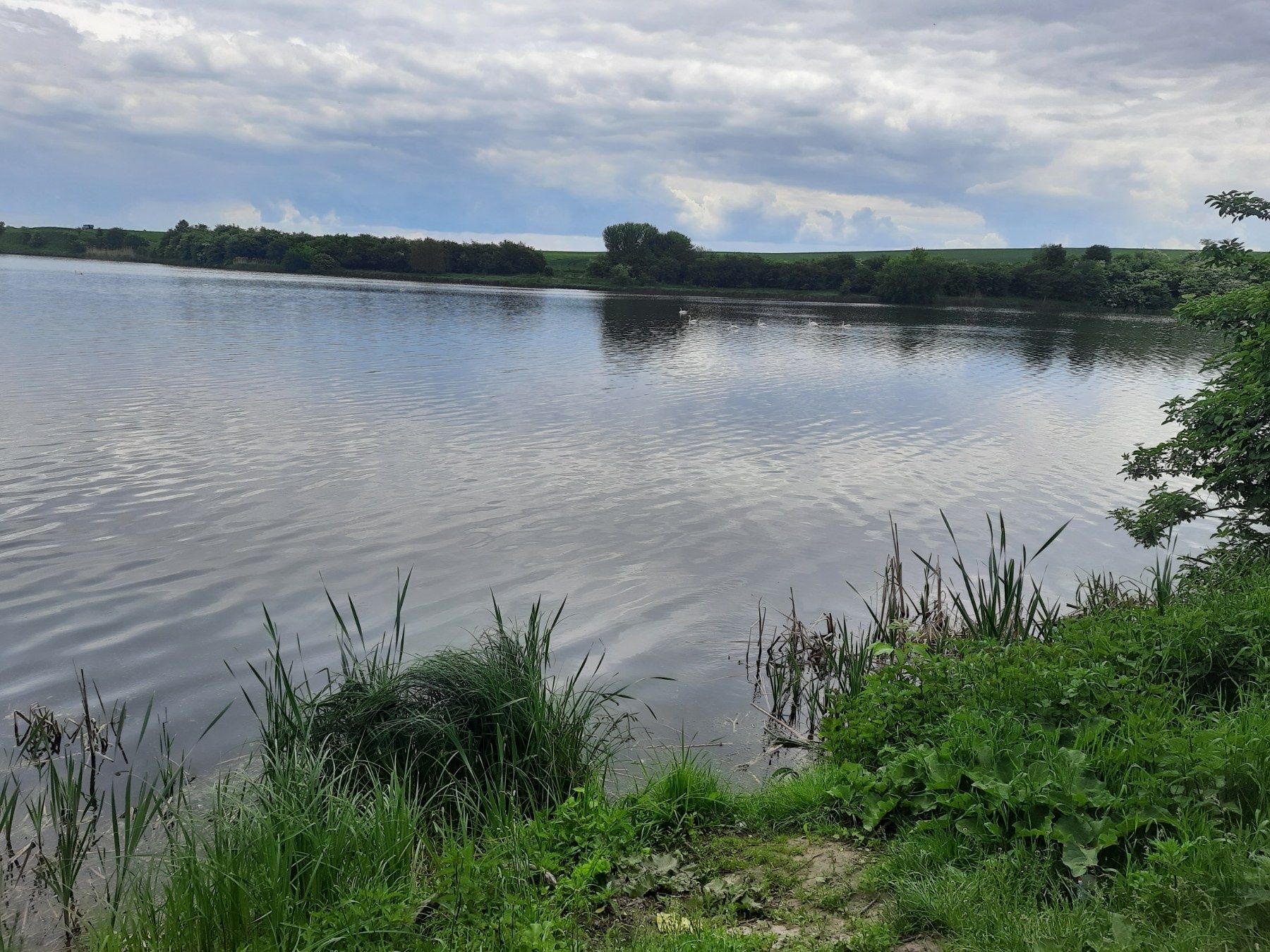 Земельна ділянка з будинком