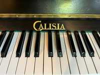 Rezerwacja Sprzedam pianino Calisia