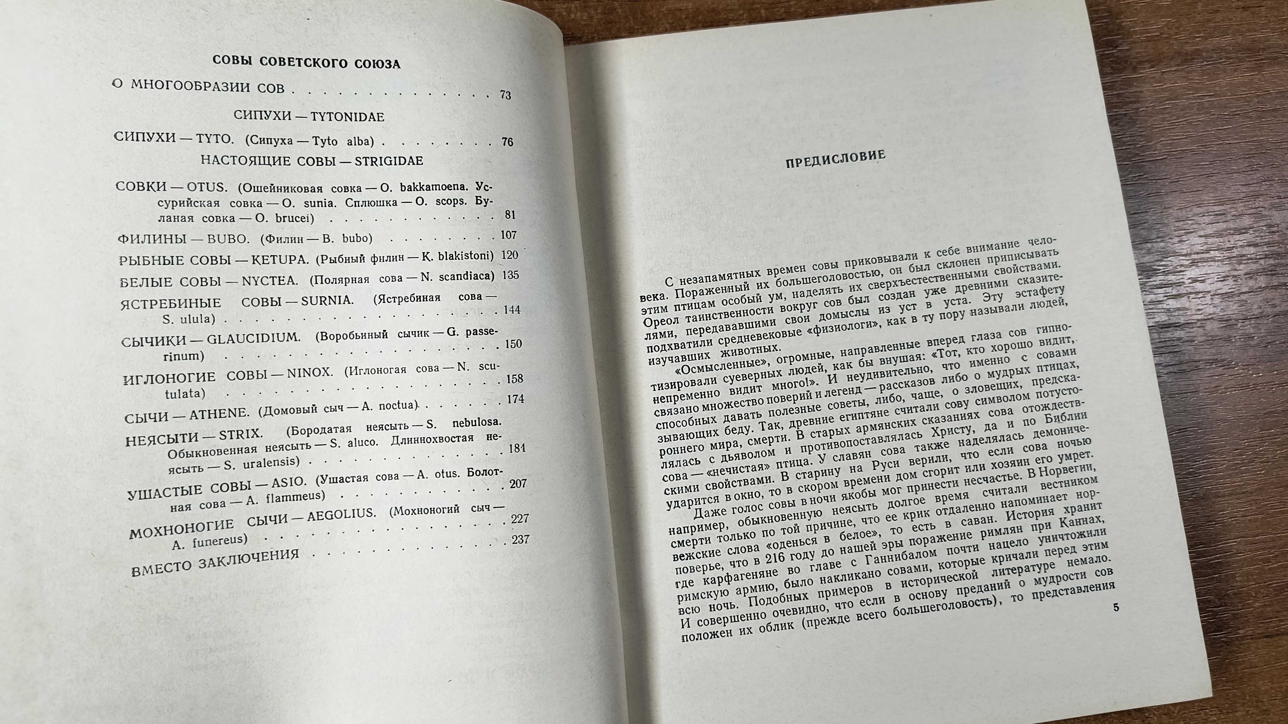 Жизнь сов (Пукинский) - Совы, птицы, орнитология