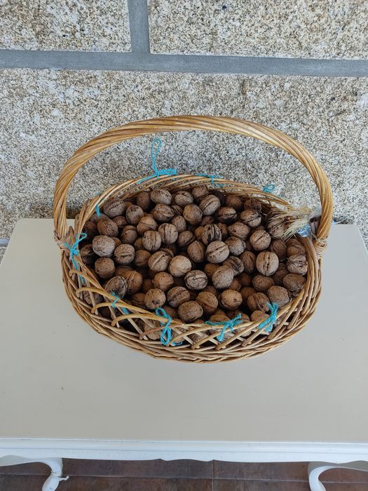 Nozes biológicas caseiras