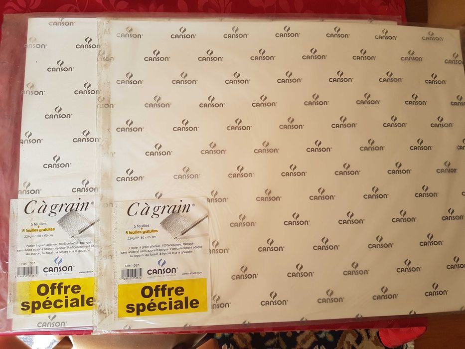 2 Blocos de Papel CANSON