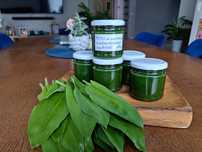 Pesto z czosnku niedźwiedziego [6 szt]
