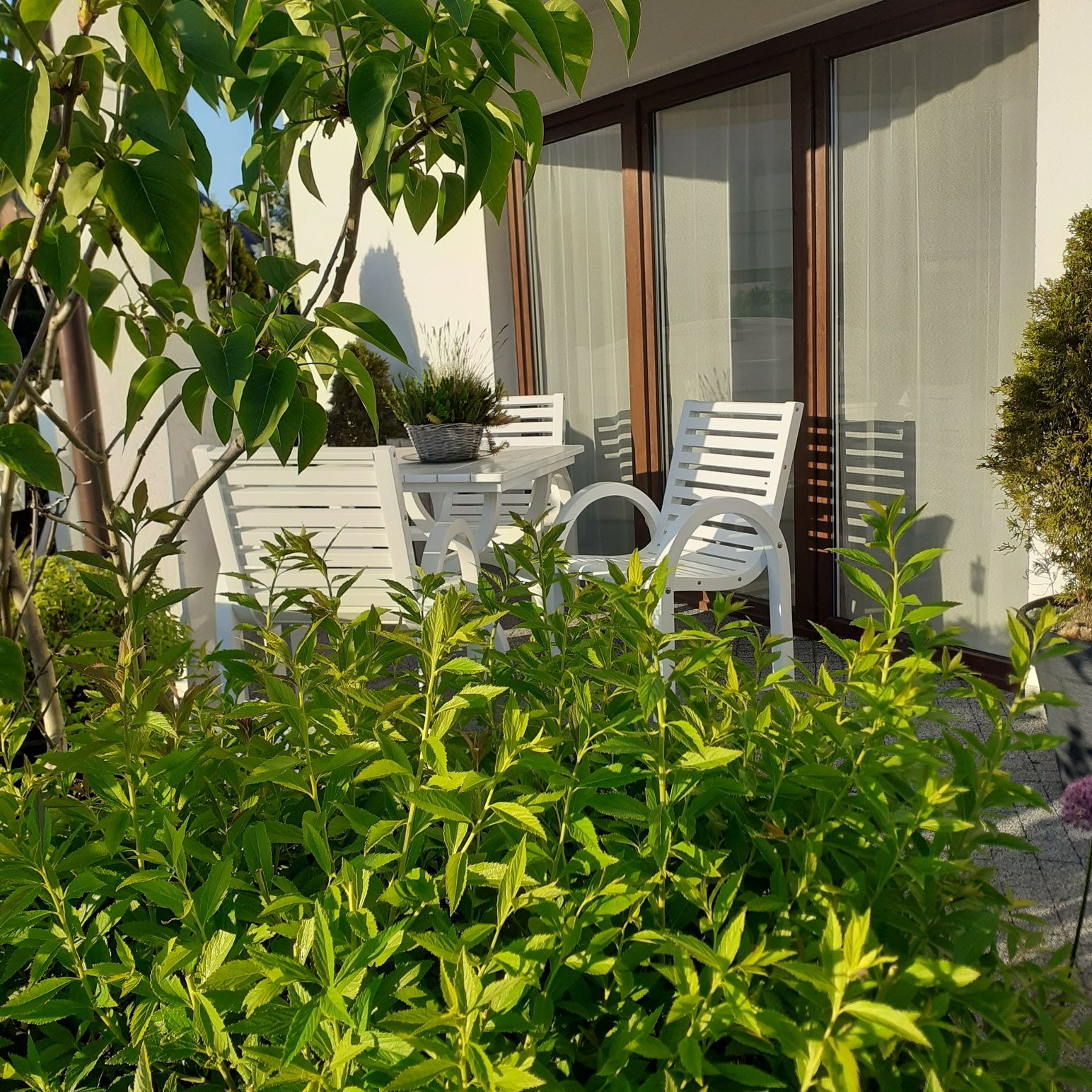 Apartament czteroosobowy wolny termin 05-19.07na parterze. Zapraszamy