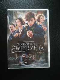 Płyty DVD z filmami