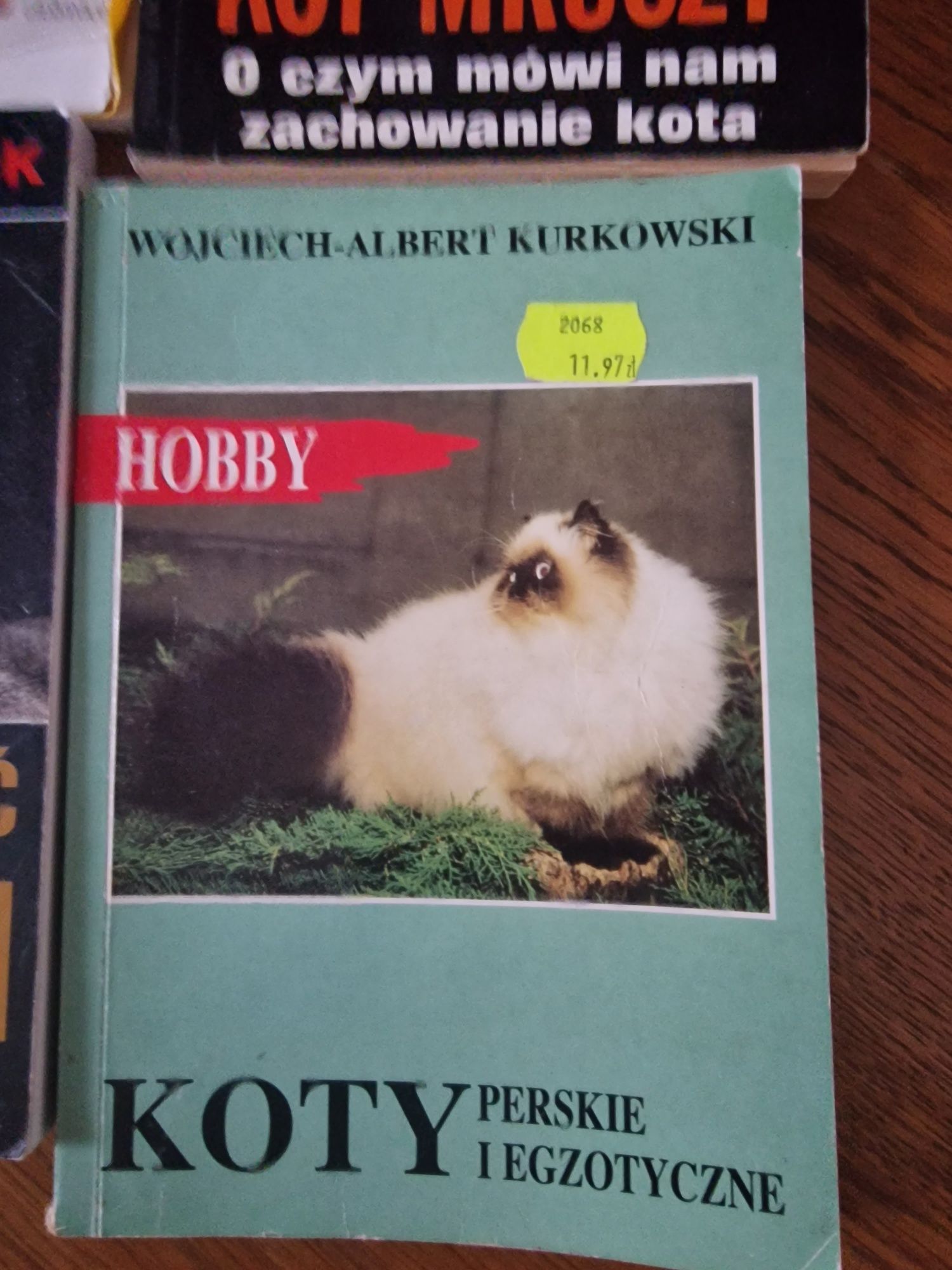 Książki o kotach