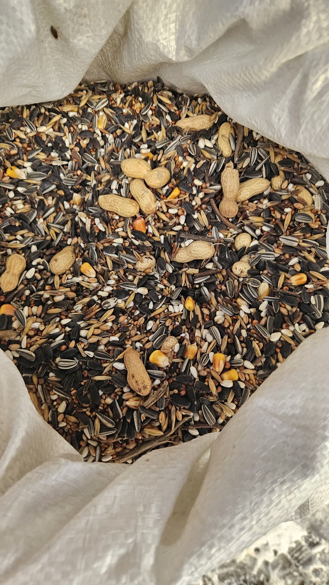Karma dla papugi średniej PŚ 25 KG