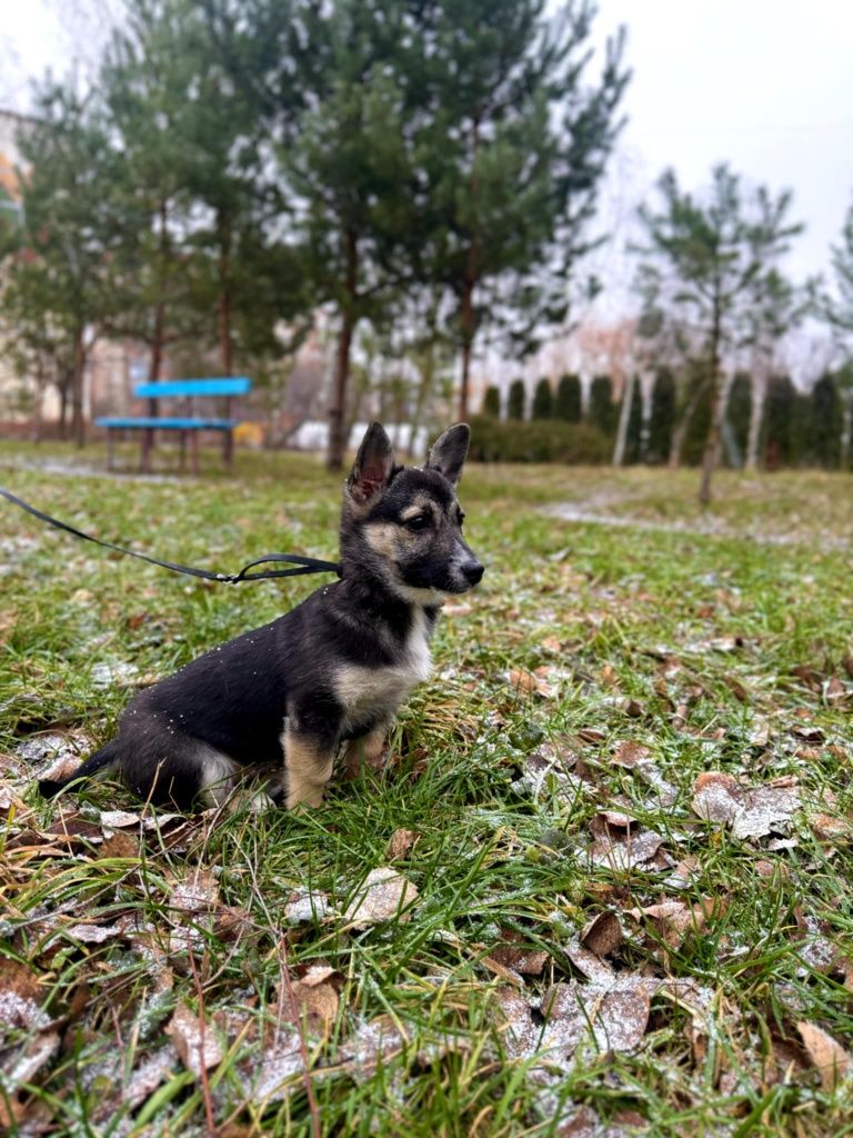 Маленька дівчинка.