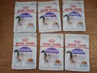 Royal Canin Sterilised kot 6x85 g