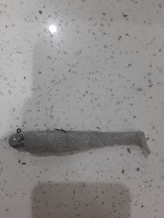 Vinil pesca novos