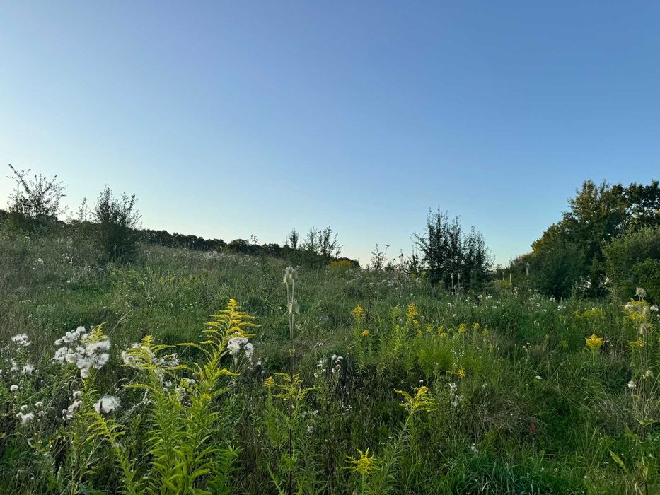 Продаж земельної ділянки в с. Якушинці