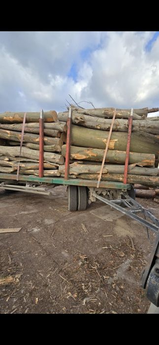 Drewno opałowe ,kominkowe