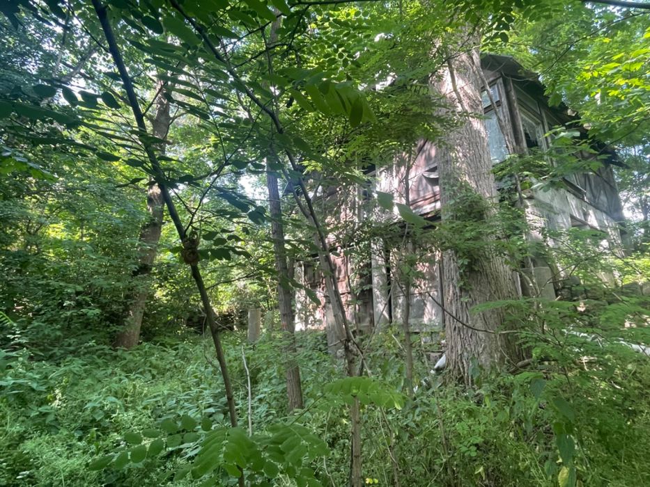 Działka leśna/budowlana Kębliny ul. Grzybowa