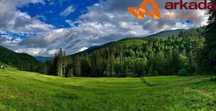 Продаж земельної ділянки з найбільшою Смерекою Карпат!