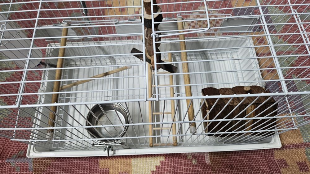 Gaiola dupla como nova