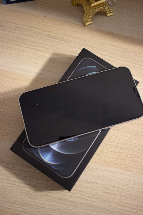 IPhone 12 Pro Max 256gb - Novo com Garantia GMS