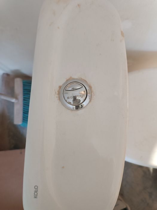 Sedes za darmo używany caly