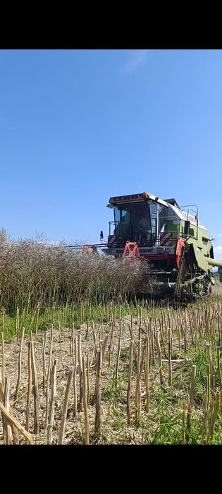 Sprzedam claas dominator 98s.