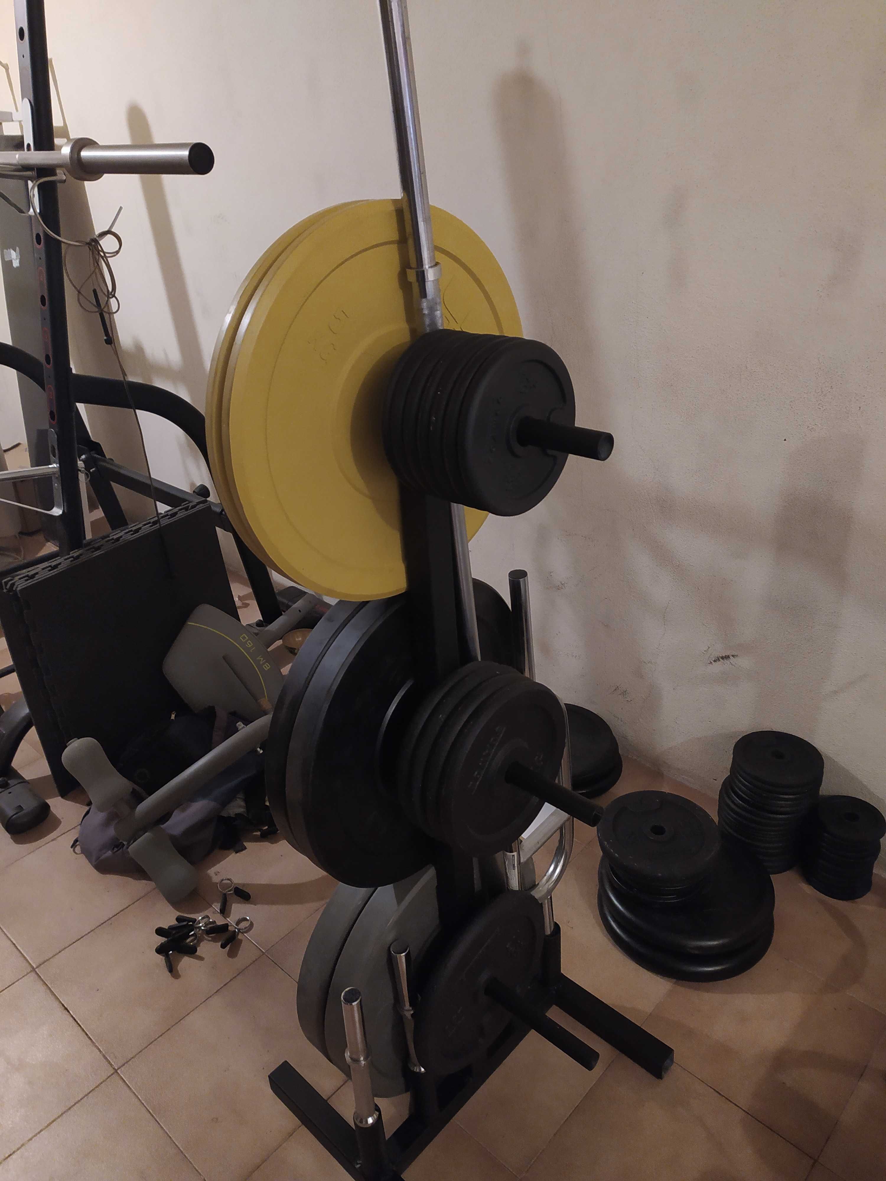 Suporte para Discos/Pesos/Bumpers e Barras de Musculação