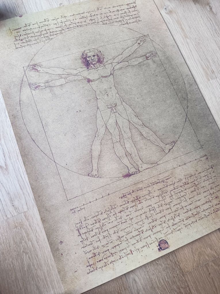 Plakat Leonardo da Vinci człowiek witruwiański