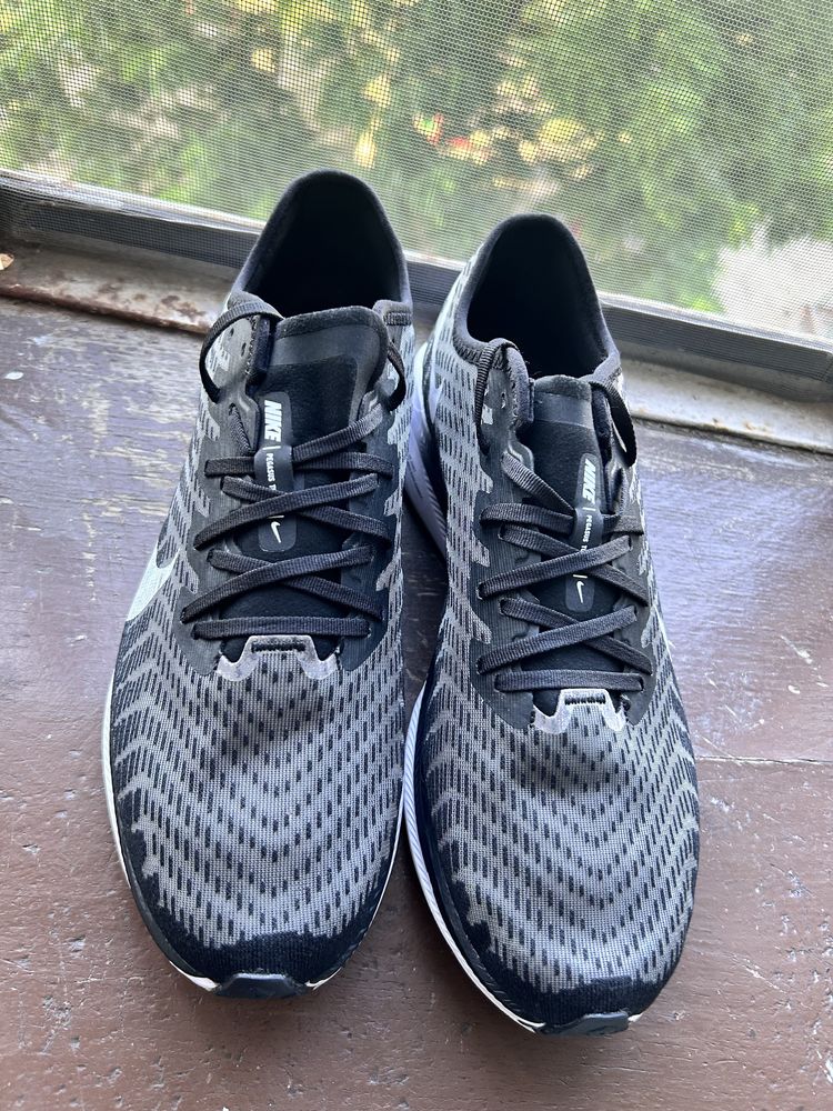 Чоловічі кросівки Nike Pegasus Turbo 2