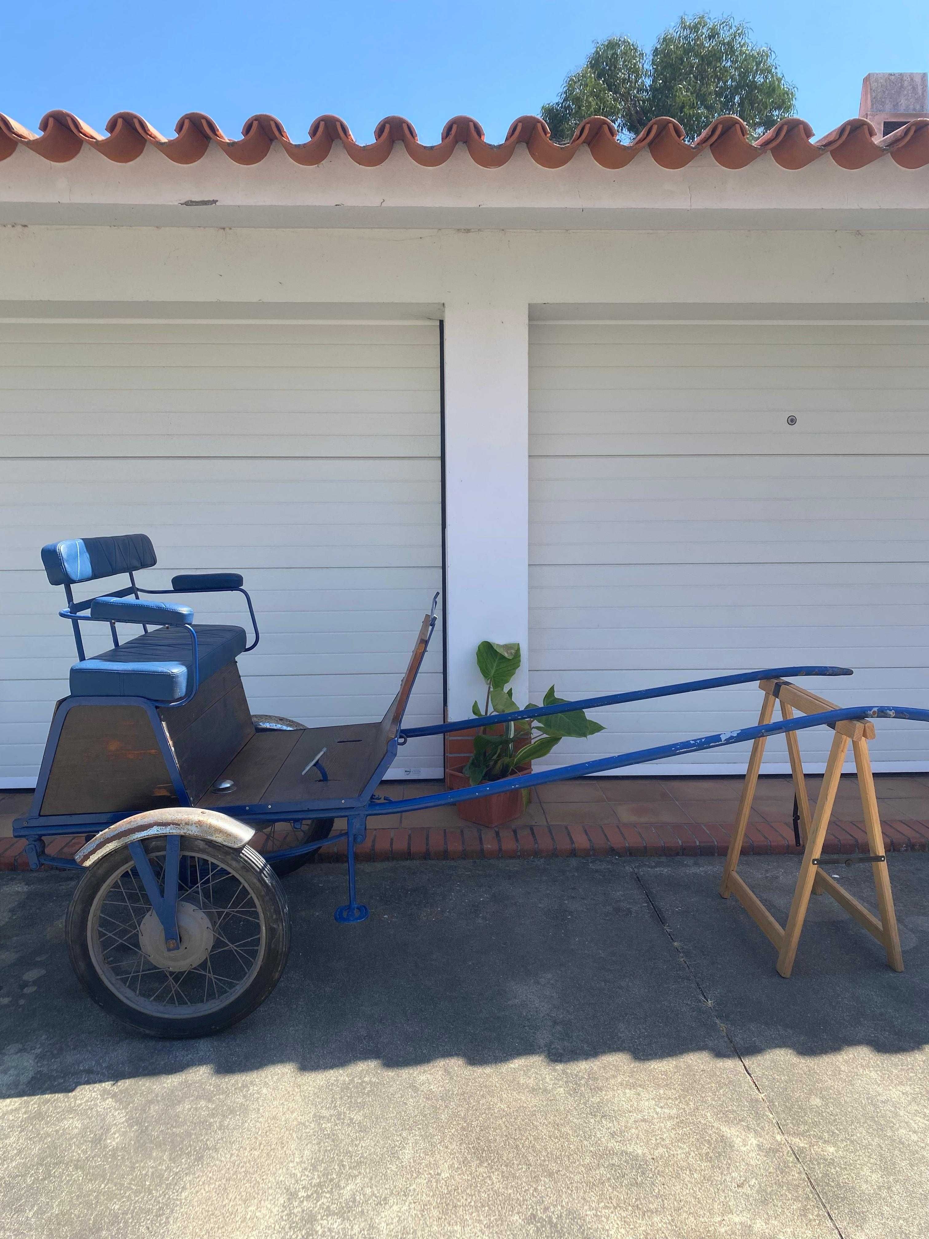 Charrete para Pónei + Arreios | Renovada e Bem Estimada