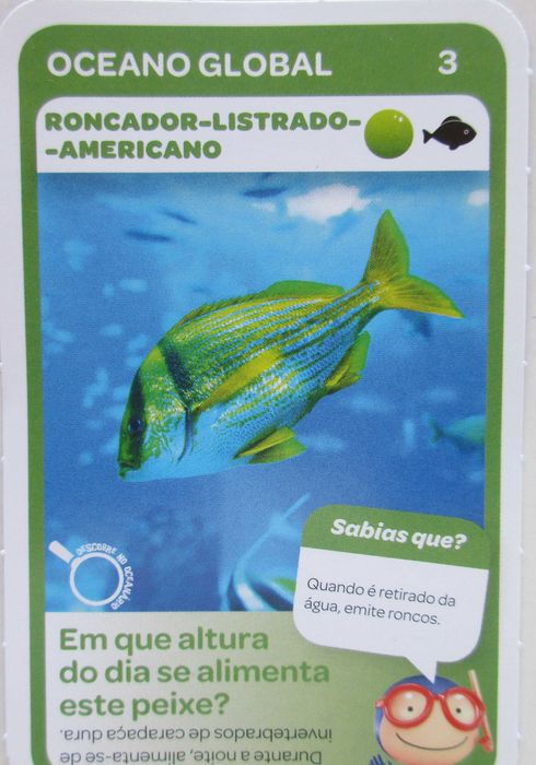Super Animais 2 - - - Vida Marinha - Cartas Soltas Pingo Doce - Cromos
