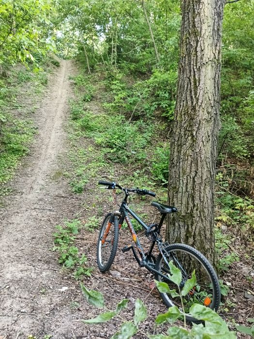 Decathlon Rockrider 24"