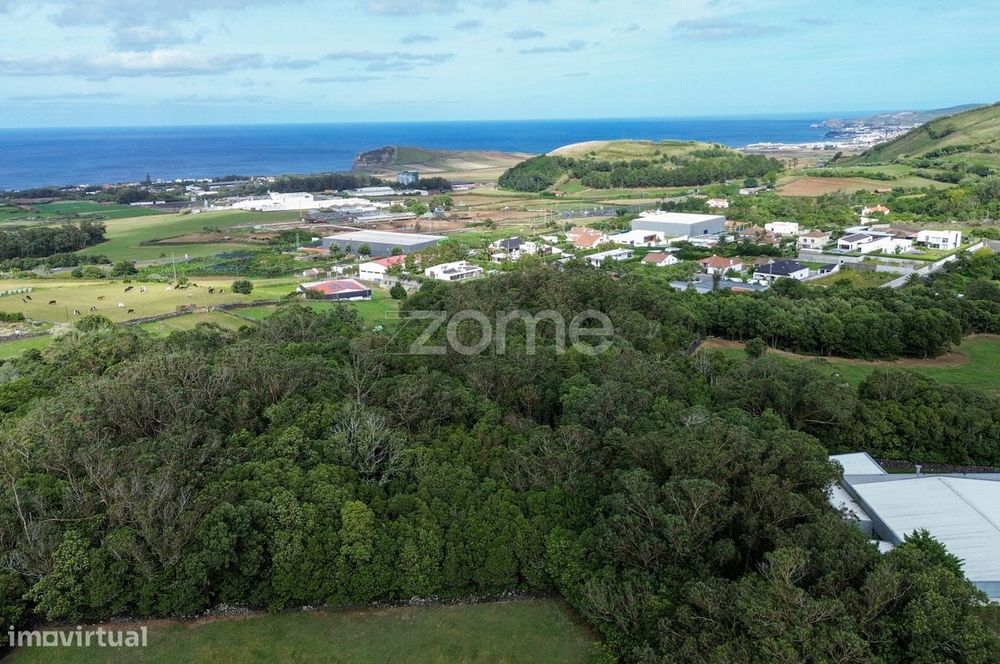 Terreno Urbano 8.360 m² com Vista Mar – Pico do Alho, Ribeira Grand...