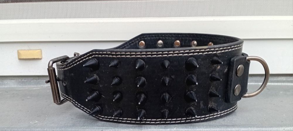 Ошейник с шипами